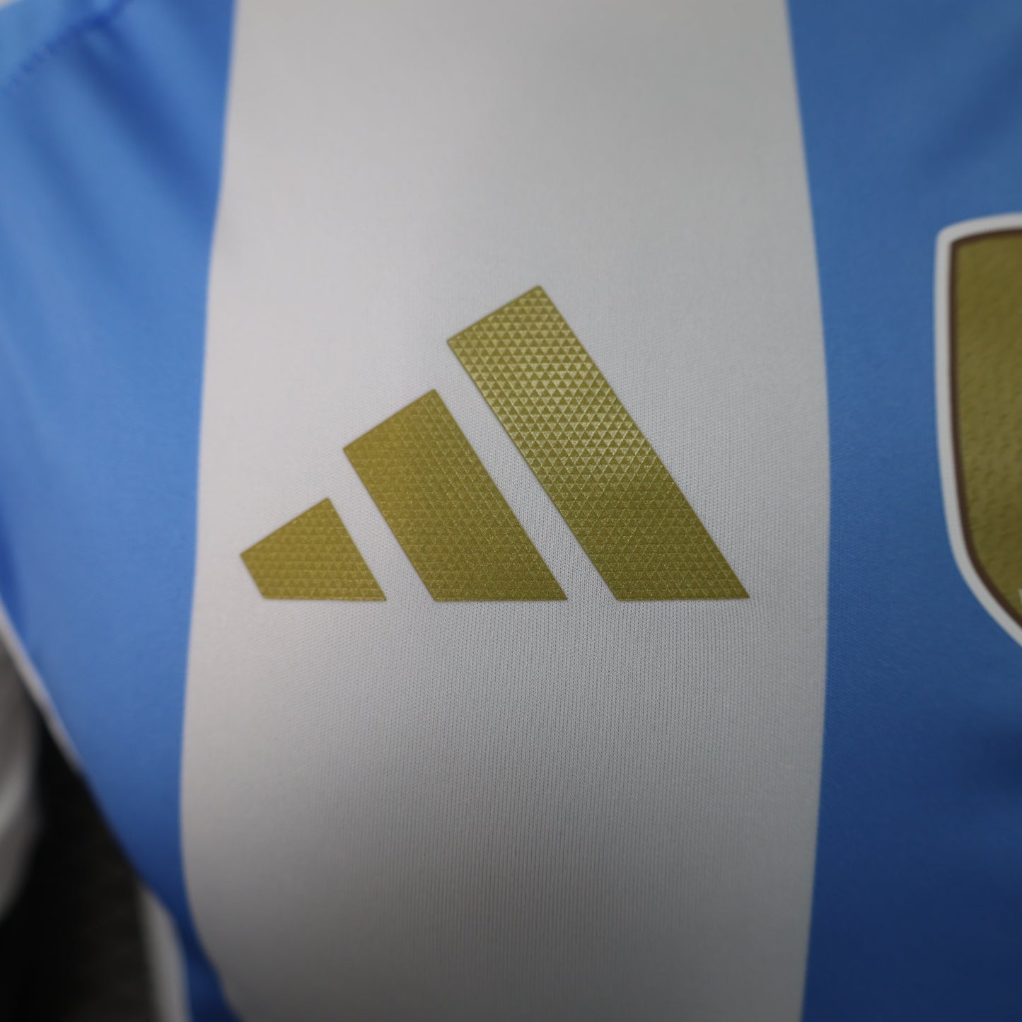 Argentina 24/25 Home Jersey