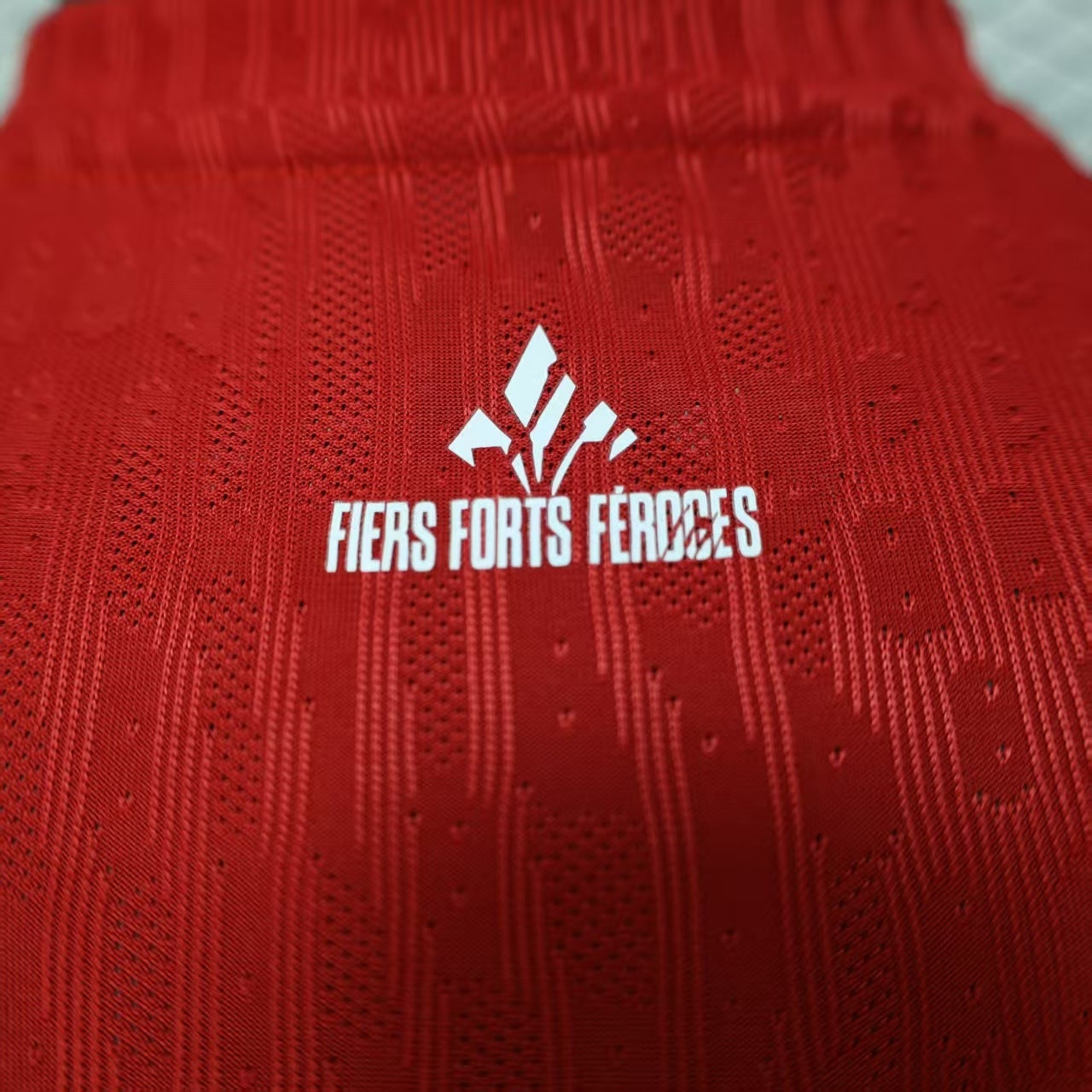 LOSC Lille 25/26 Season Home Jersey