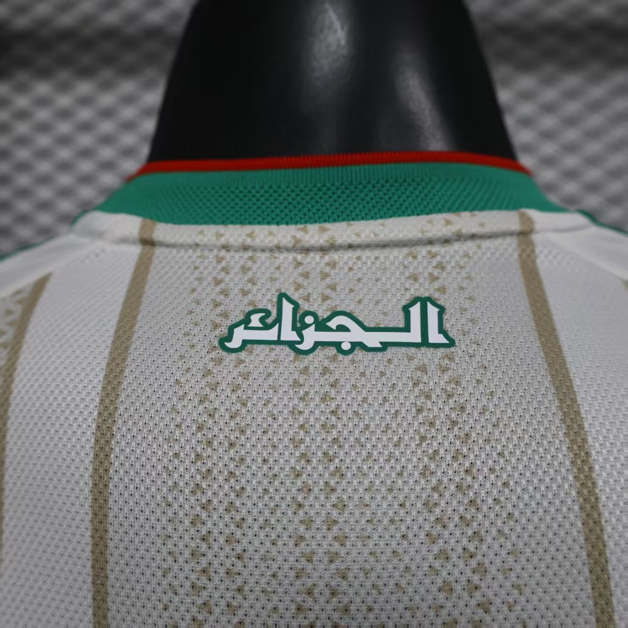 Algeria 25/26 World Cup Jersey