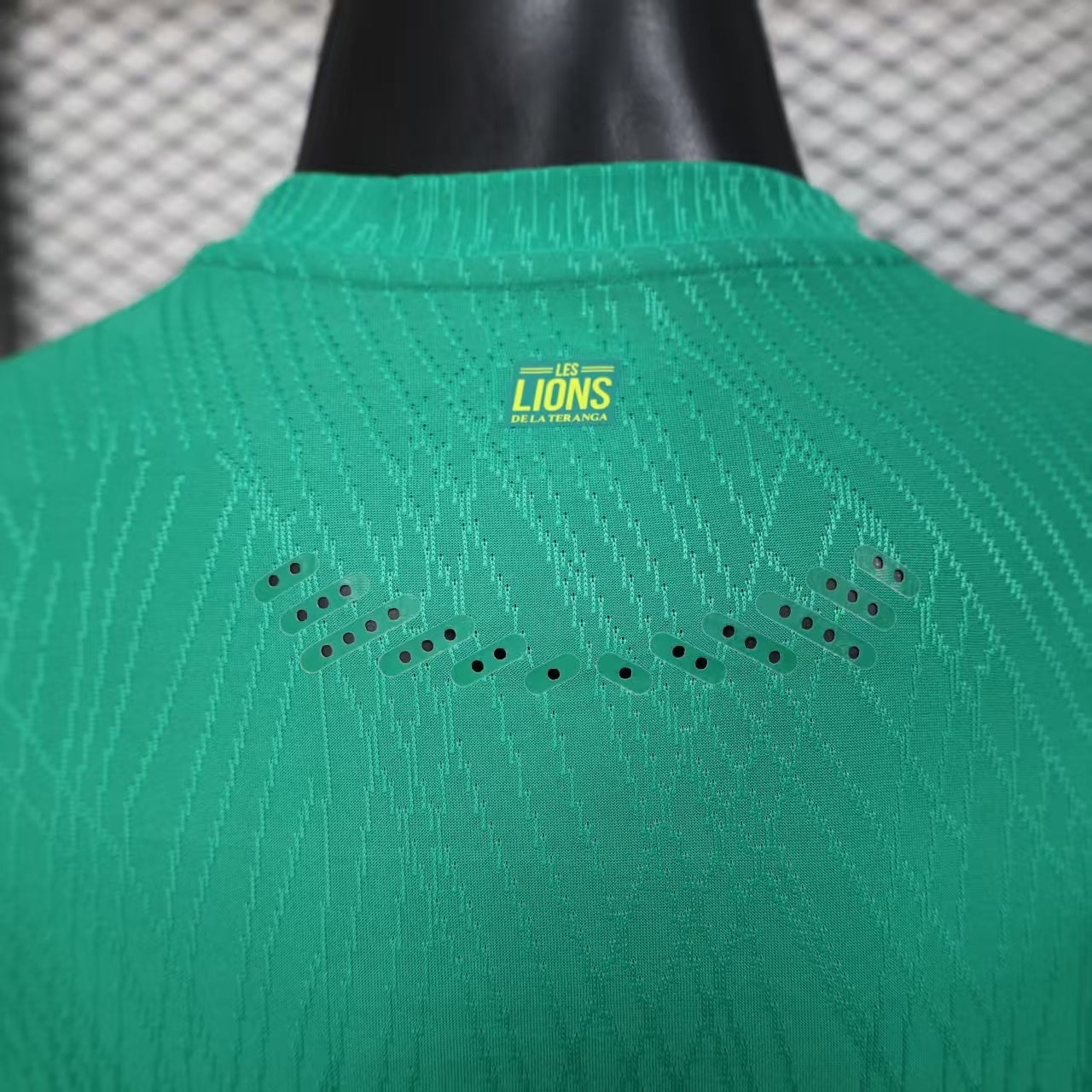 Senegal 25/26 World Cup Jersey